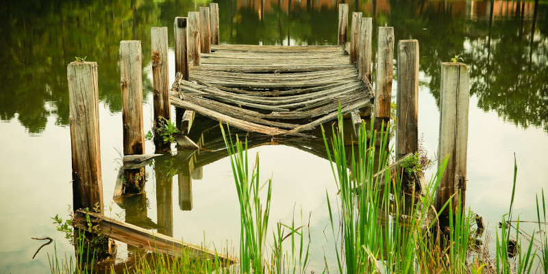 Photo de Malenki via Midjourney (https://www.midjourney.com/app/jobs/ed946596-c5ca-4c8d-9edf-ef4eb66afe8b/) sur Midjourney (https://www.midjourney.com/home/)