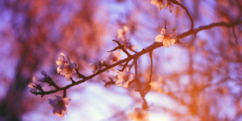 Photo de Benjamin Balázs sur Unsplash