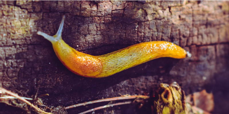 Photo de Chris F sur Pexels